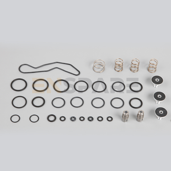 Ecas Valve Repair Kit