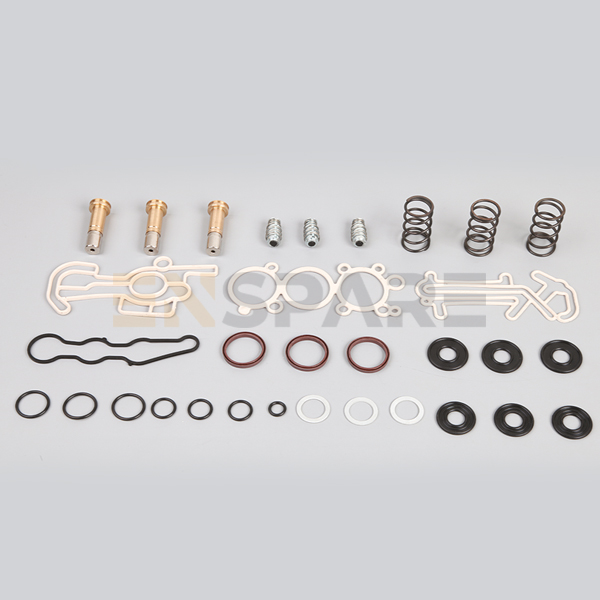 Ecas Valve Repair Kit