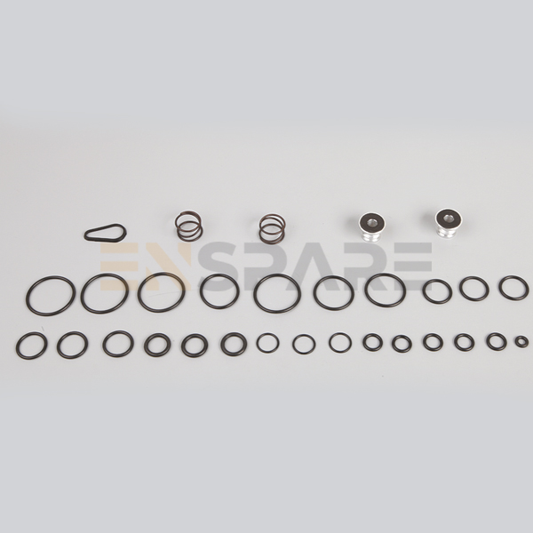 Ecas Valve Repair kit